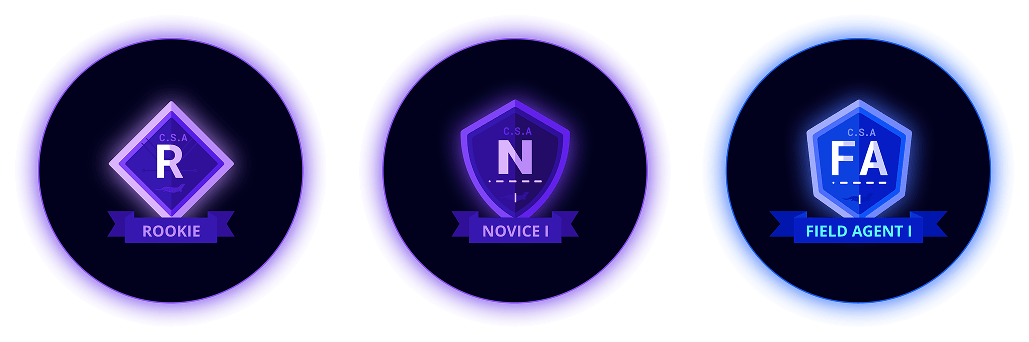 Rookie, Novice I and Field Agent I rank badges
